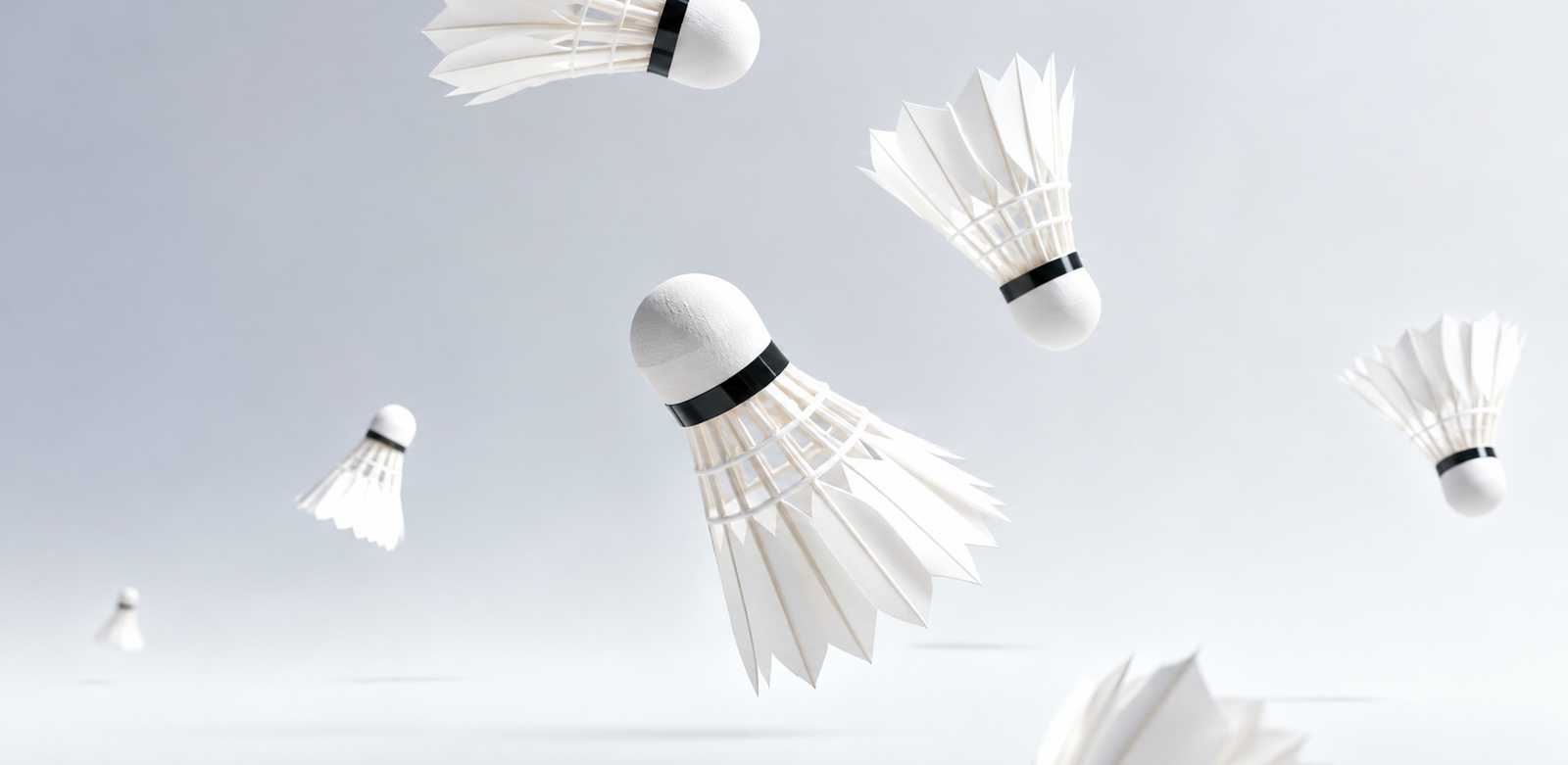 BADMINTON COLLECTION