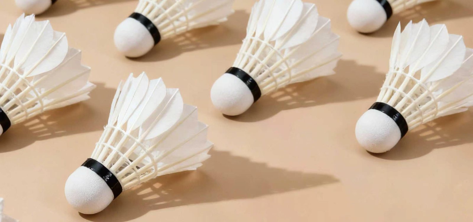 G4 goose feather shuttlecocks