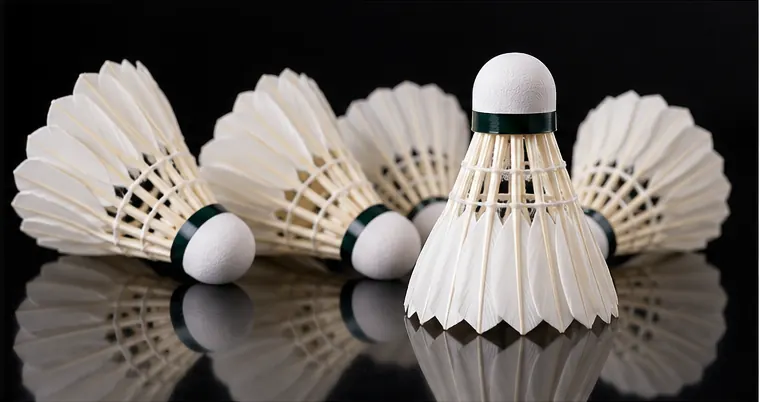 Premium goose feather shuttlecocks for advanced badminton training