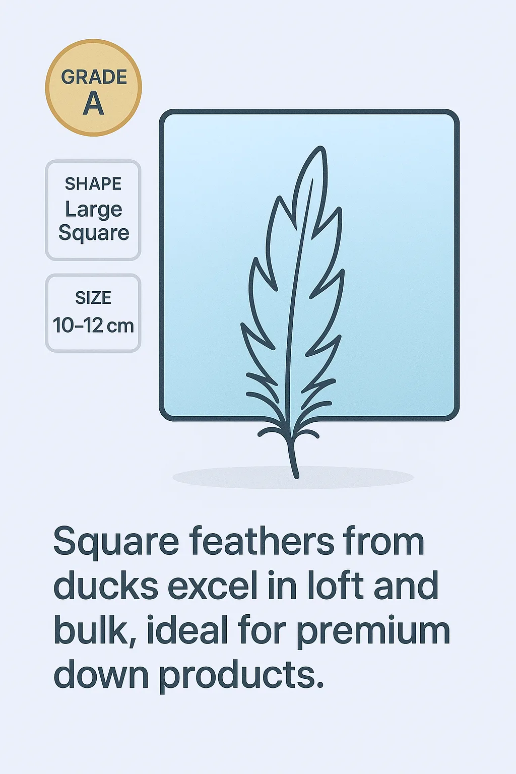 Feather material illustration
